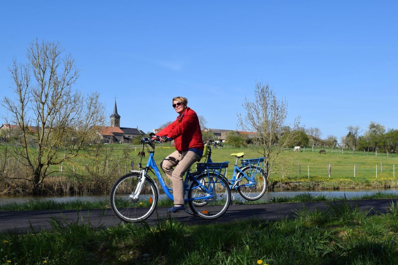 Maizieres-les-VicDomaine Du Port Sainte Marie别墅 外观 照片